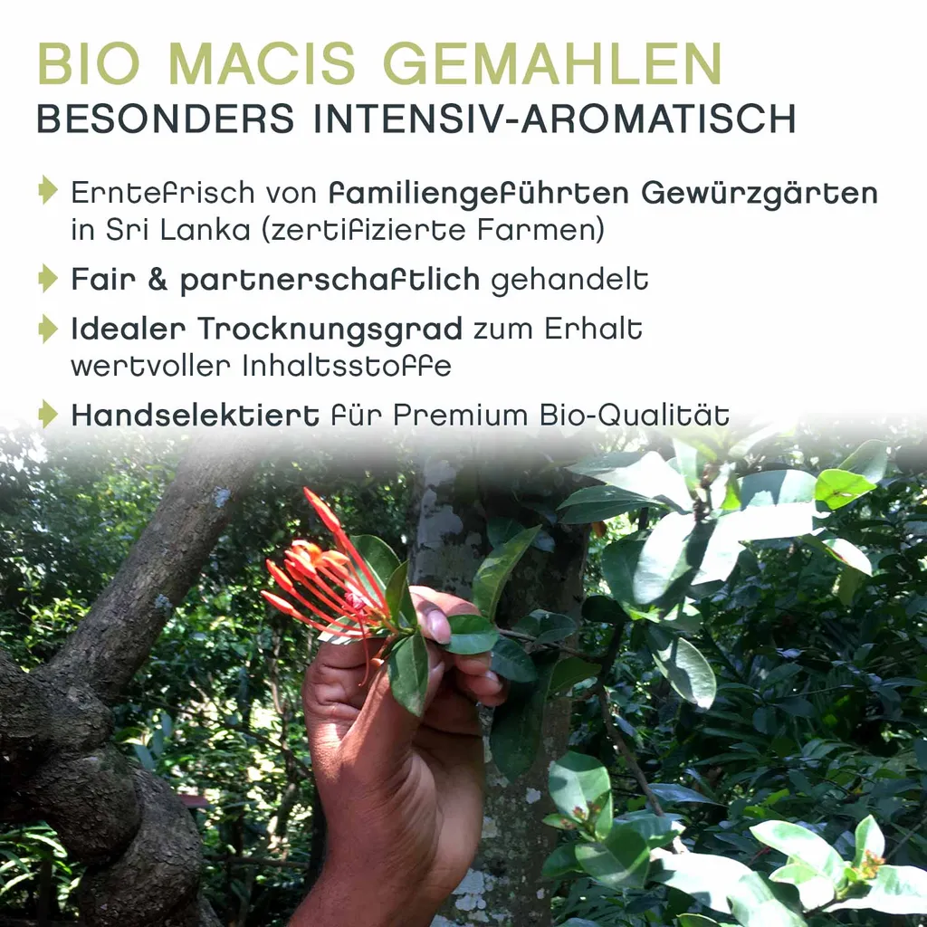 Macis Muskatblüte Gemahlen, BIO, 100g 5 Macis Muskatblüte Gemahlen, BIO, 100g – Bild 5