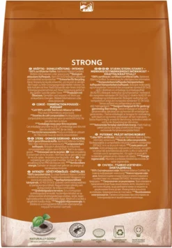 SENSEO Pads Strong Senseopads 4 X 48 Getränke Kaffeepads XXL Packs + 1 Senseo Dose 12 SENSEO Pads Strong Senseopads 4 X 48 Getränke Kaffeepads XXL Packs + 1 Senseo Dose -Kaffee Verkäufe 7b17292079e38f1b3059b6e641b0fe33